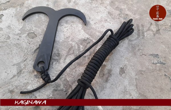 import placeholder for 9791