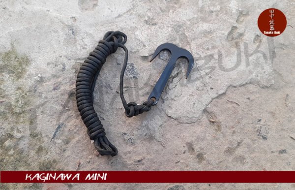 import placeholder for 9808