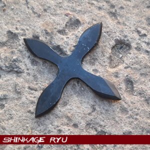 import placeholder for 1041