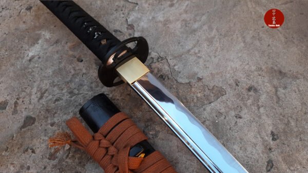 la ultima custom deluxe