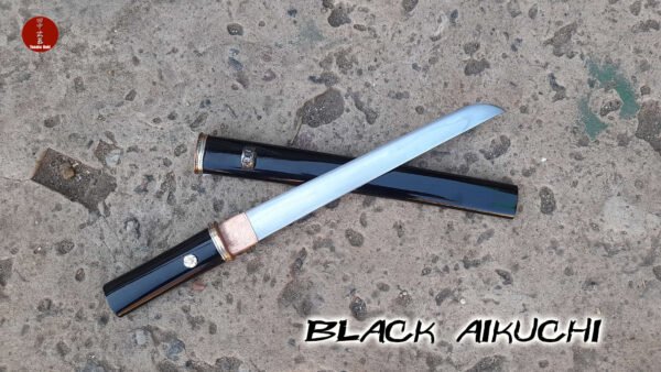 aikuchi negro1 aikuchi negro1