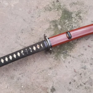 suzaku 1