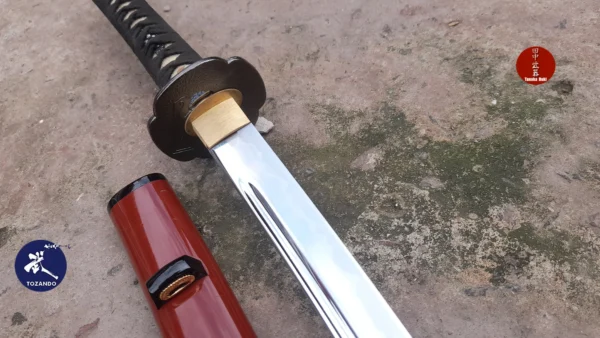 suzaku 10